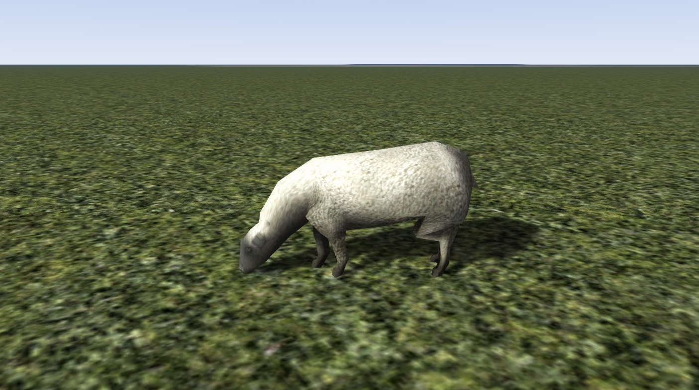 Animal Sheep Static