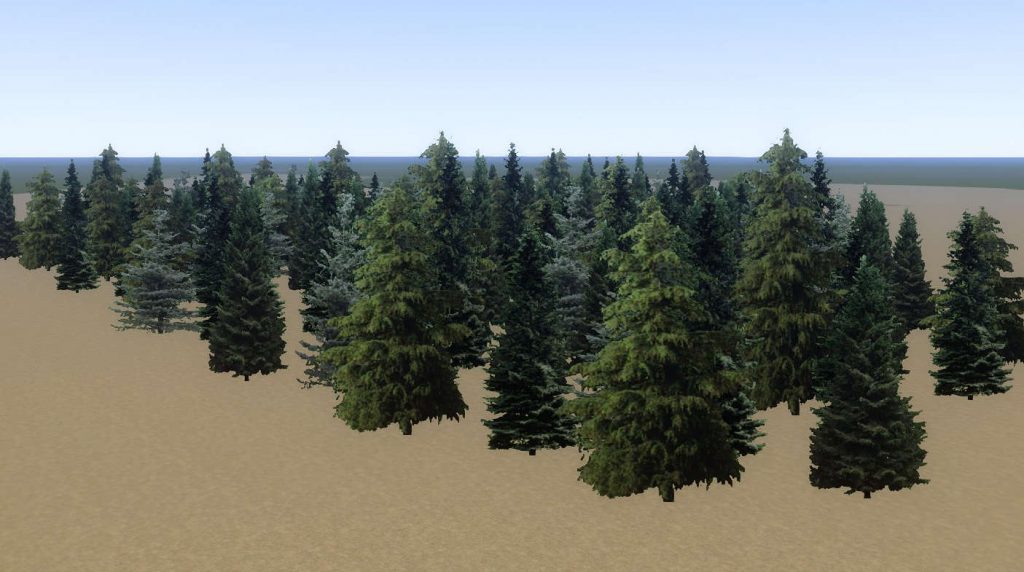 Tree Fir Forest FF