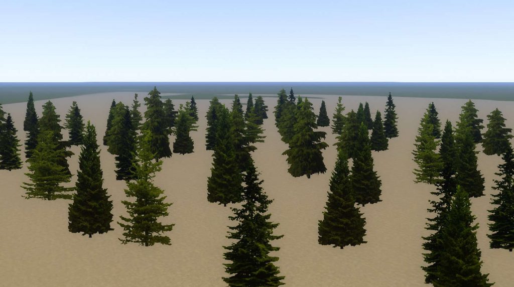 Tree Fir Forest FF Sparse