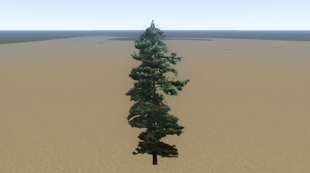 Tree Pine Mid 01